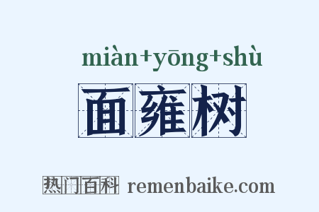 面雍树是什么意思的图片